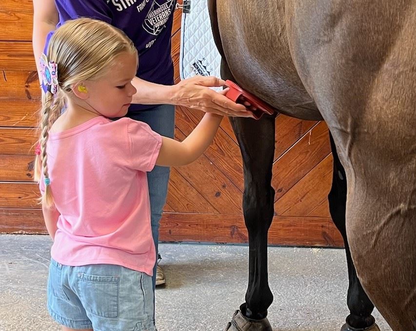 A young girl with braided hair brushes a horse’s leg, assisted by an adult guiding her hand.